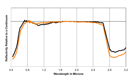 CRISM spectra of sunlight reflected from two Martian soils