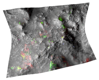 false color CRISM image of rock excavated from depth in the highlands by an impact crater